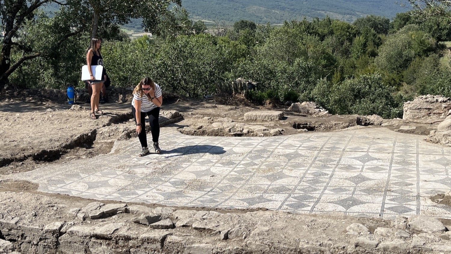 Yacimiento de Artieda