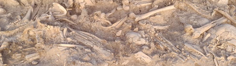 Ciencias de la Antigüedad