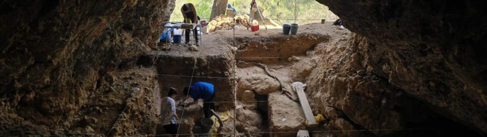 Excavación arqueológica